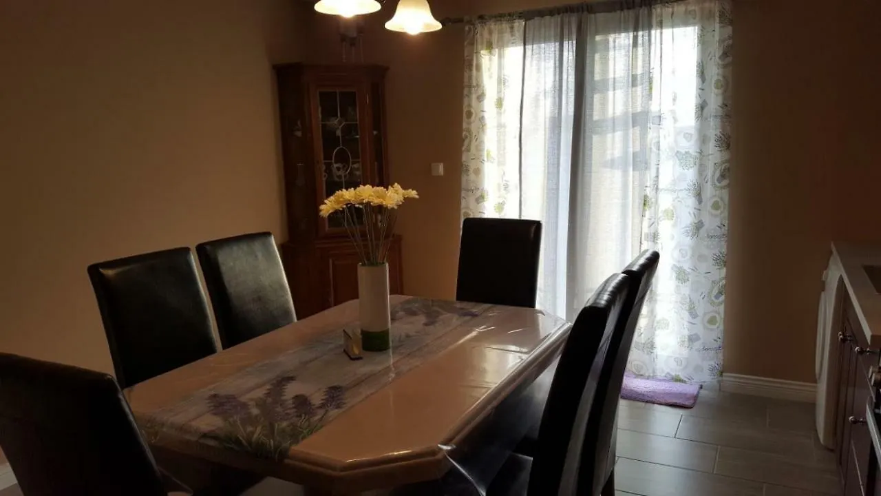 ביבינייה Gloria Ivana